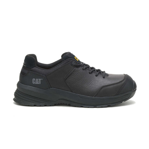 CAT 1351 - Image 6