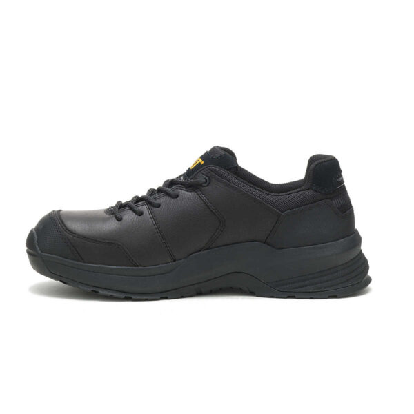 CAT 1351 - Image 5