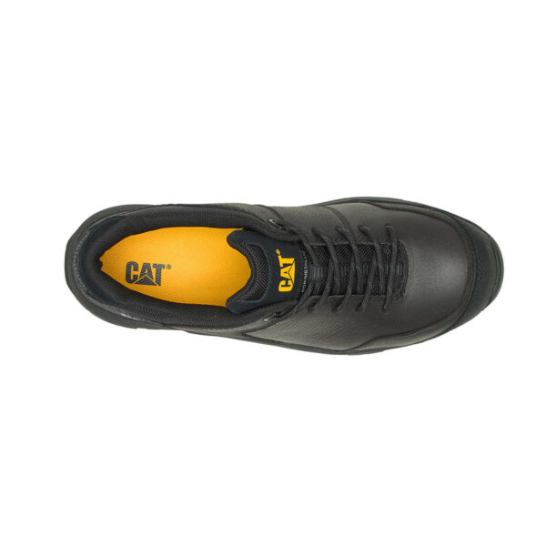 CAT 1351 - Image 2
