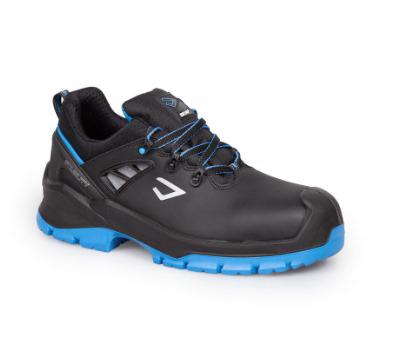 BICAP | Dolphin Safety Shoe S3 SRC